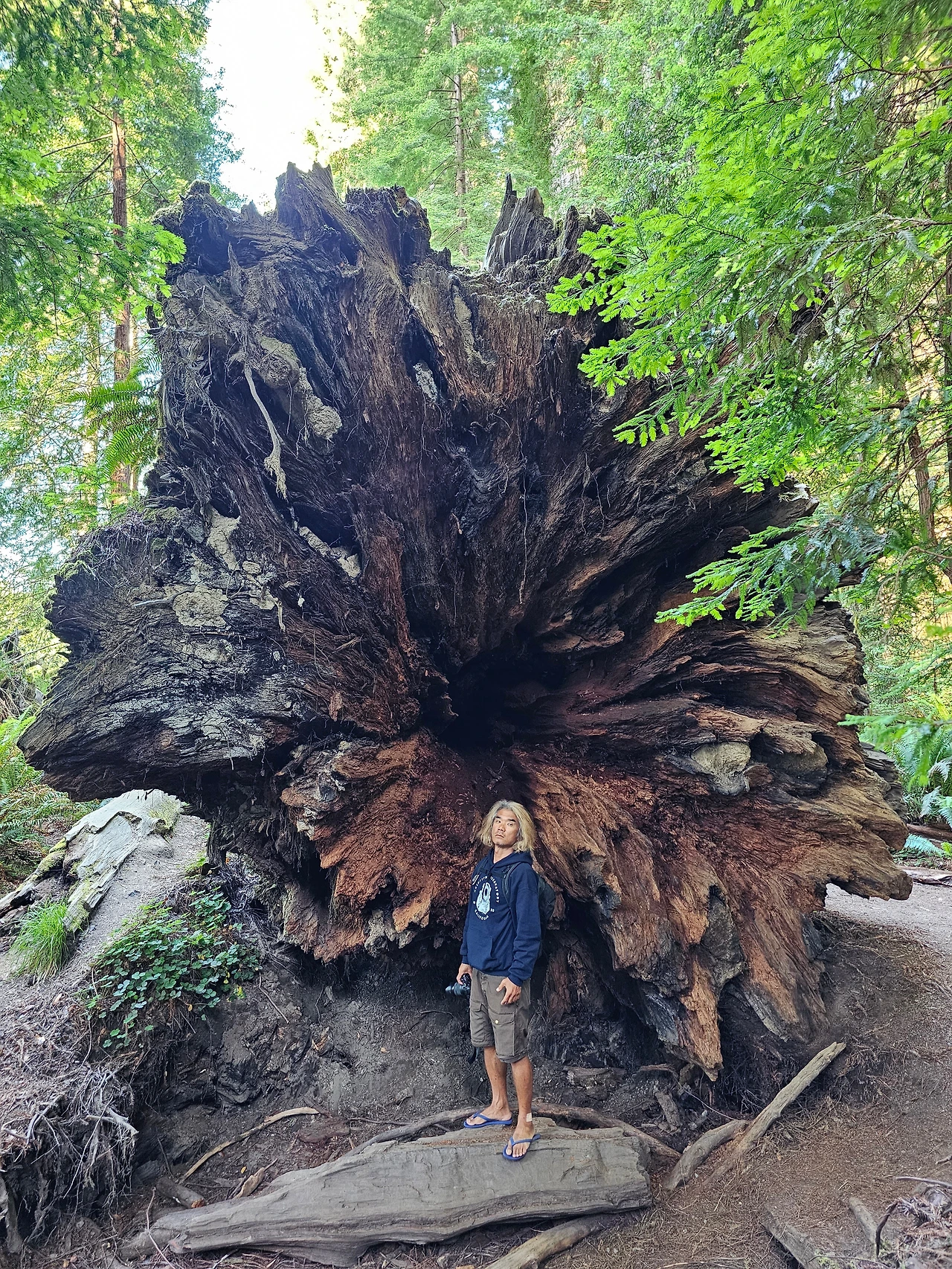 KakaoTalk_Photo_2023-06-11-23-24-35 015.jpeg