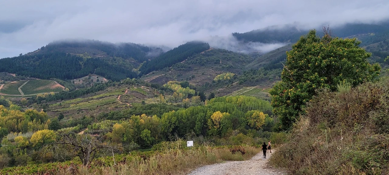 KakaoTalk_Photo_2021-10-02-18-25-57 006.jpeg