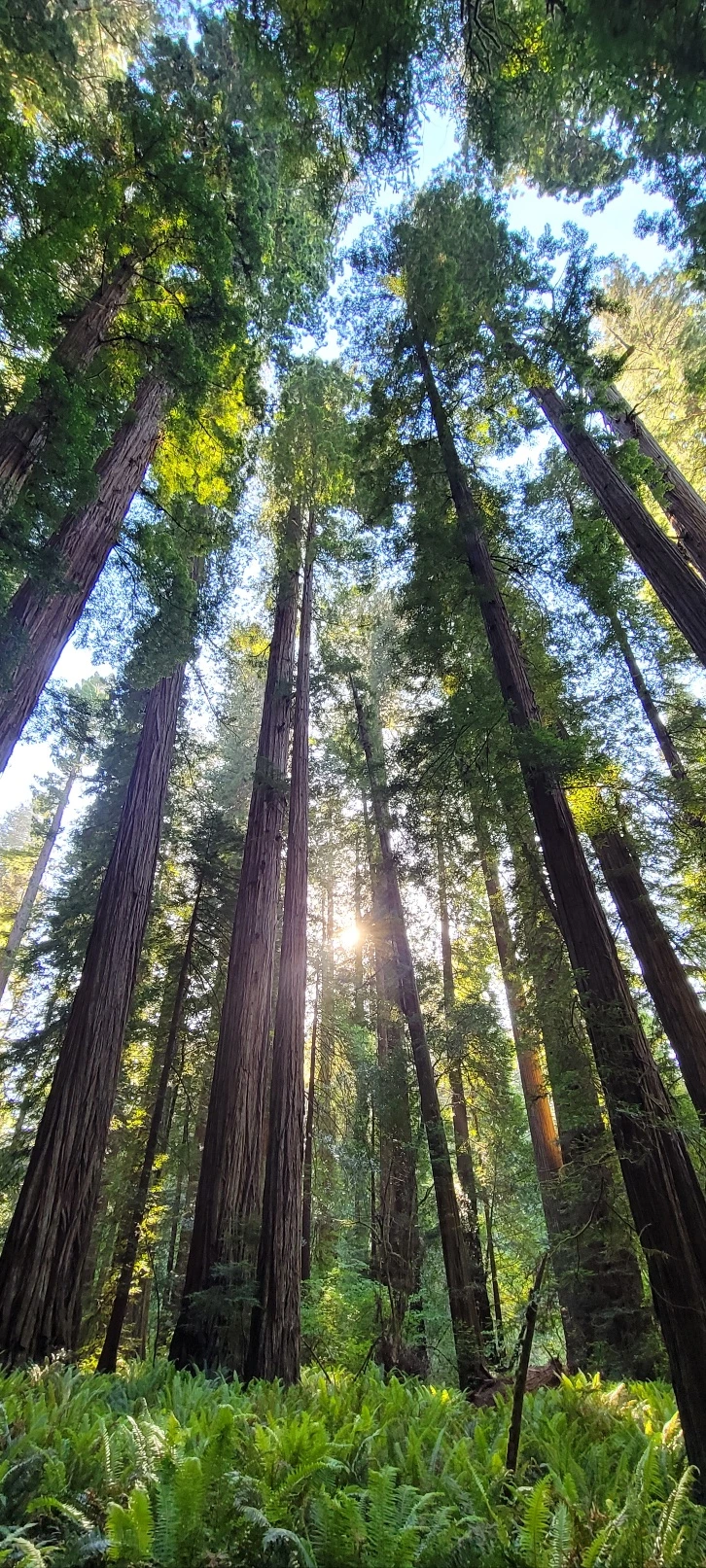 KakaoTalk_Photo_2023-06-11-22-48-42 019.jpeg