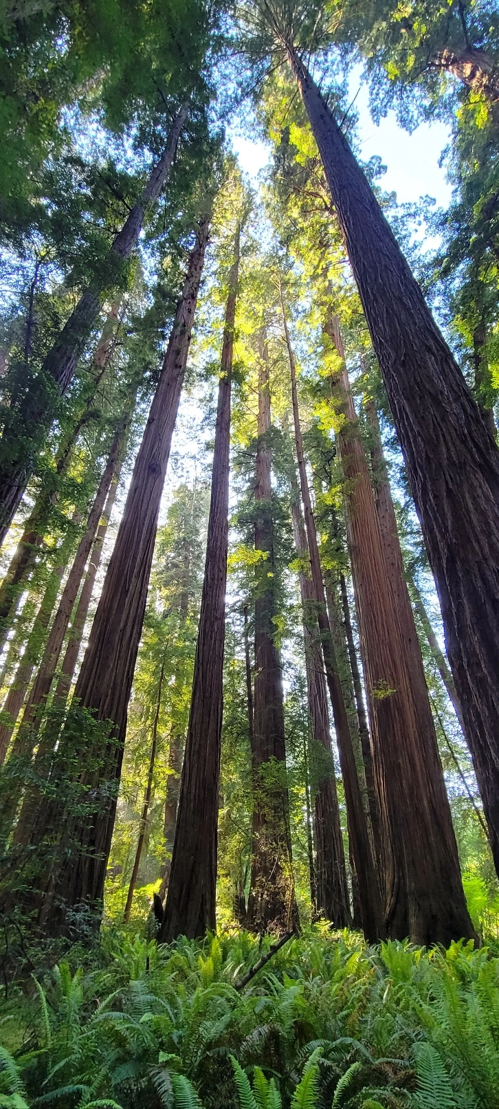 KakaoTalk_Photo_2023-06-11-22-48-45 020.jpeg