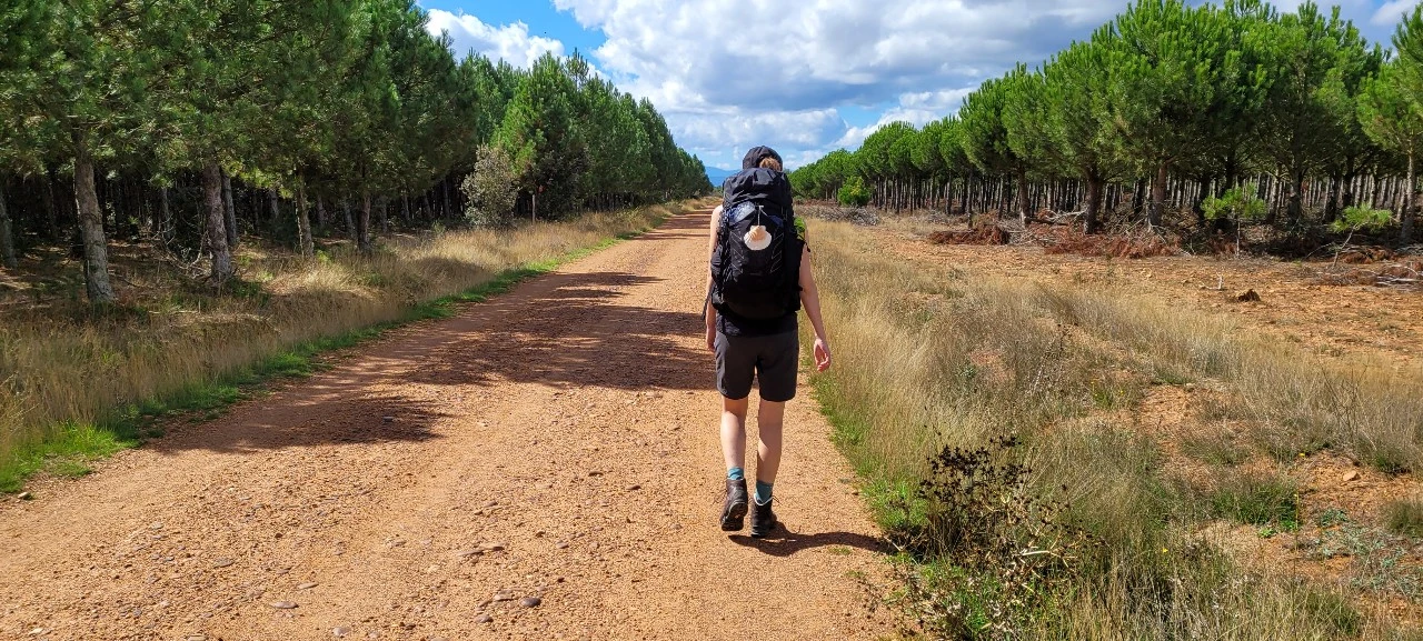 KakaoTalk_Photo_2021-09-29-07-18-12 001.jpeg