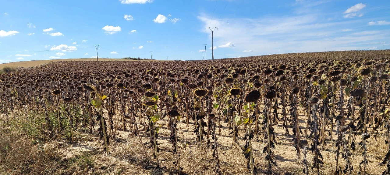 KakaoTalk_Photo_2021-09-23-19-25-03 001.jpeg