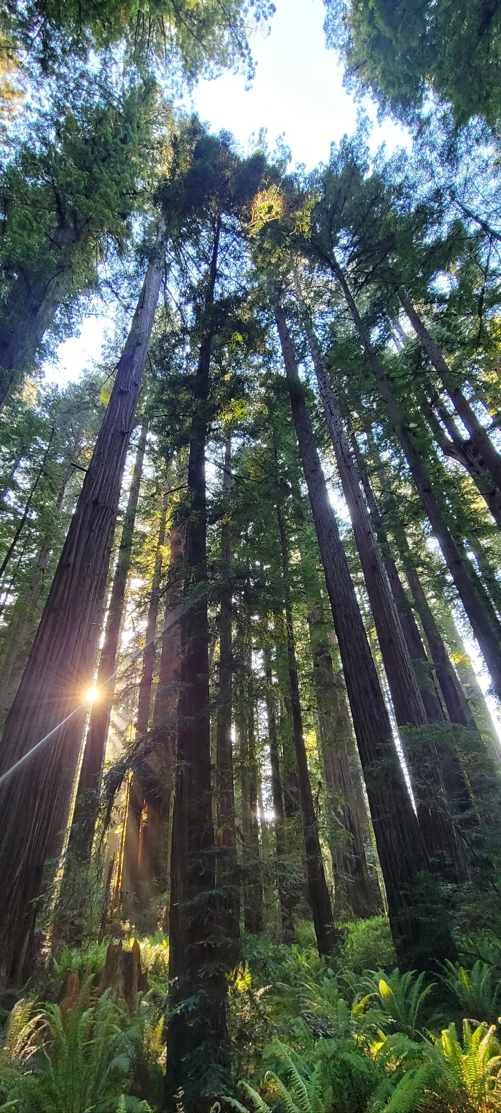 KakaoTalk_Photo_2023-06-11-22-46-29 004.jpeg