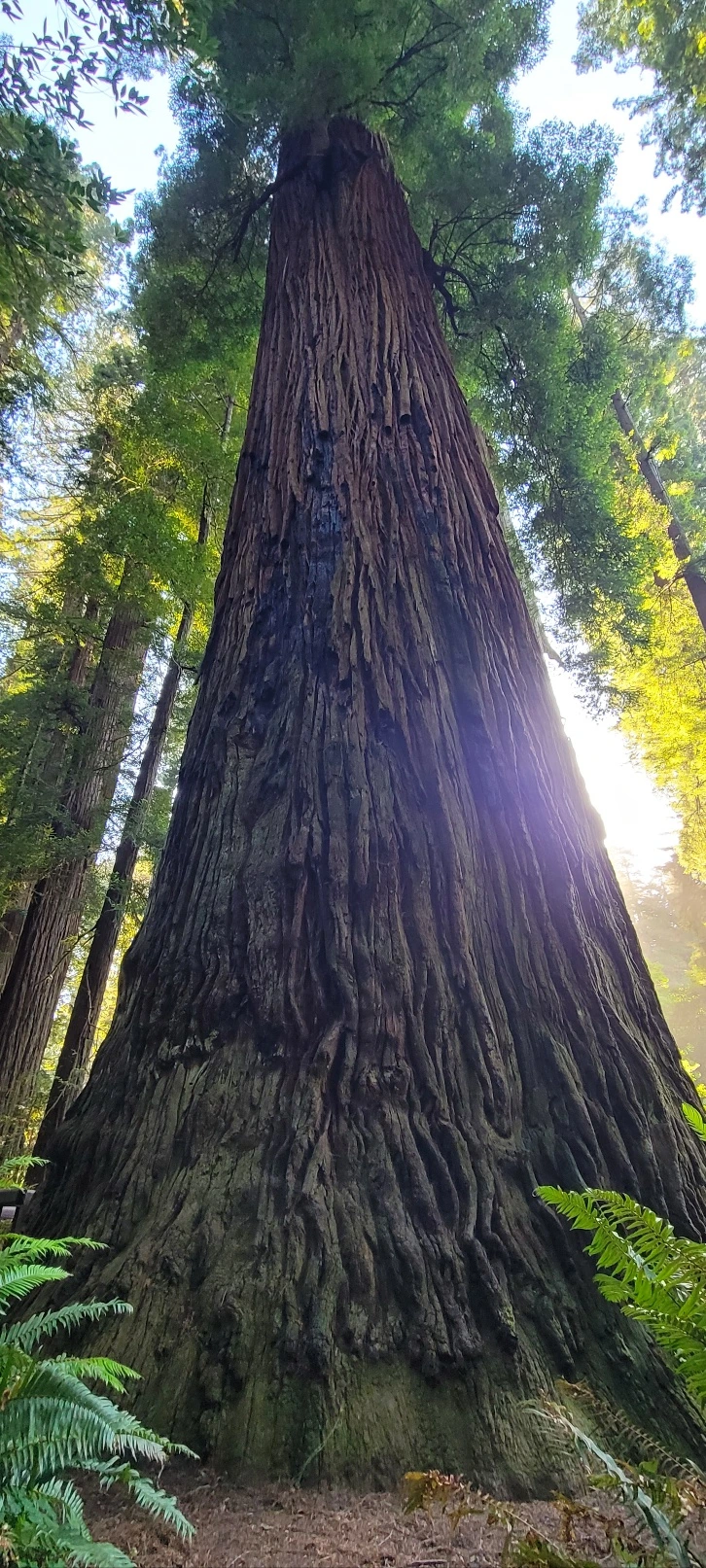 KakaoTalk_Photo_2023-06-11-22-48-31 013.jpeg