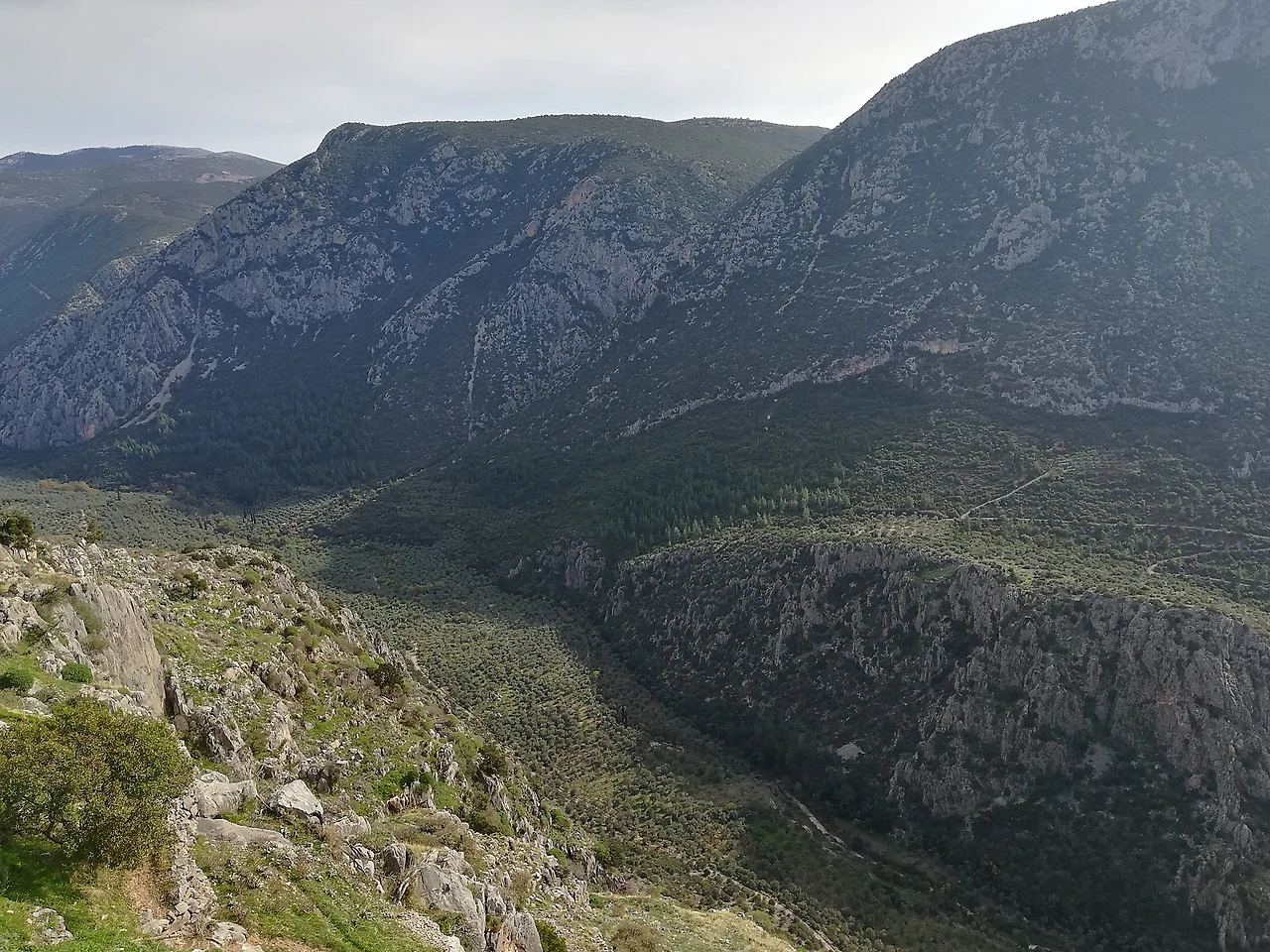 IMG_20211111_135115.jpg?type=w1600