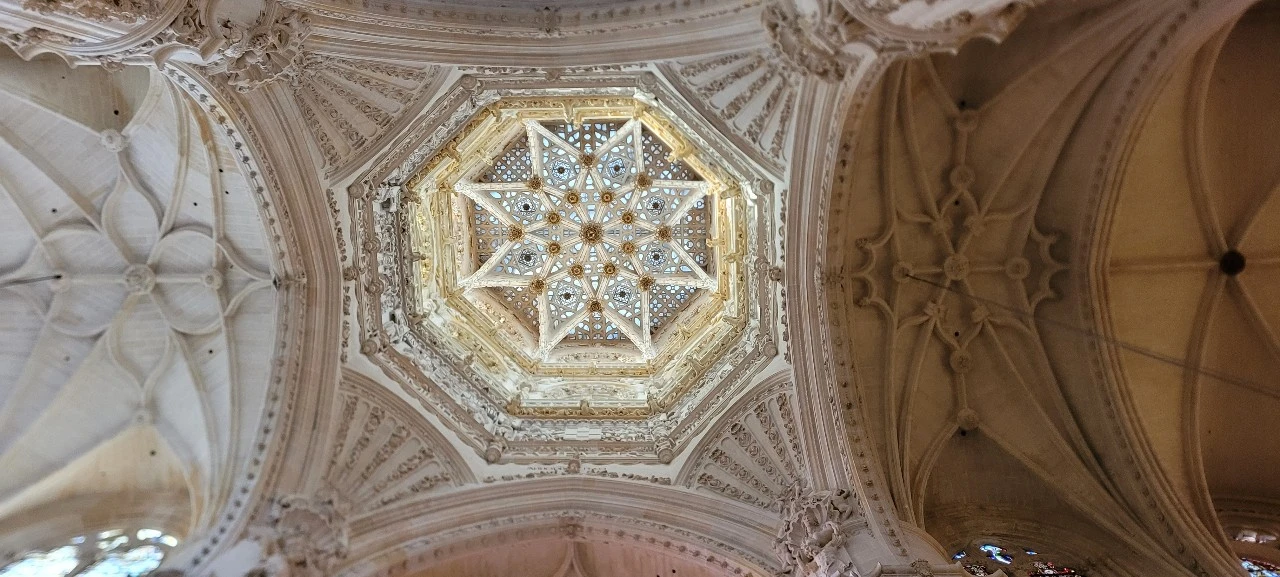 KakaoTalk_Photo_2021-09-19-08-13-37 006.jpeg