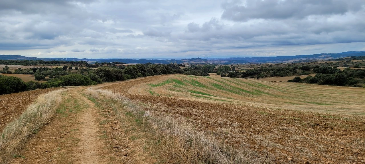 KakaoTalk_Photo_2021-09-12-07-25-09 009.jpeg