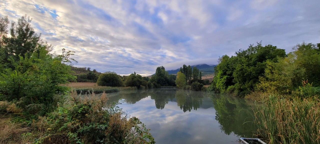 KakaoTalk_Photo_2021-09-12-07-24-58 004.jpeg