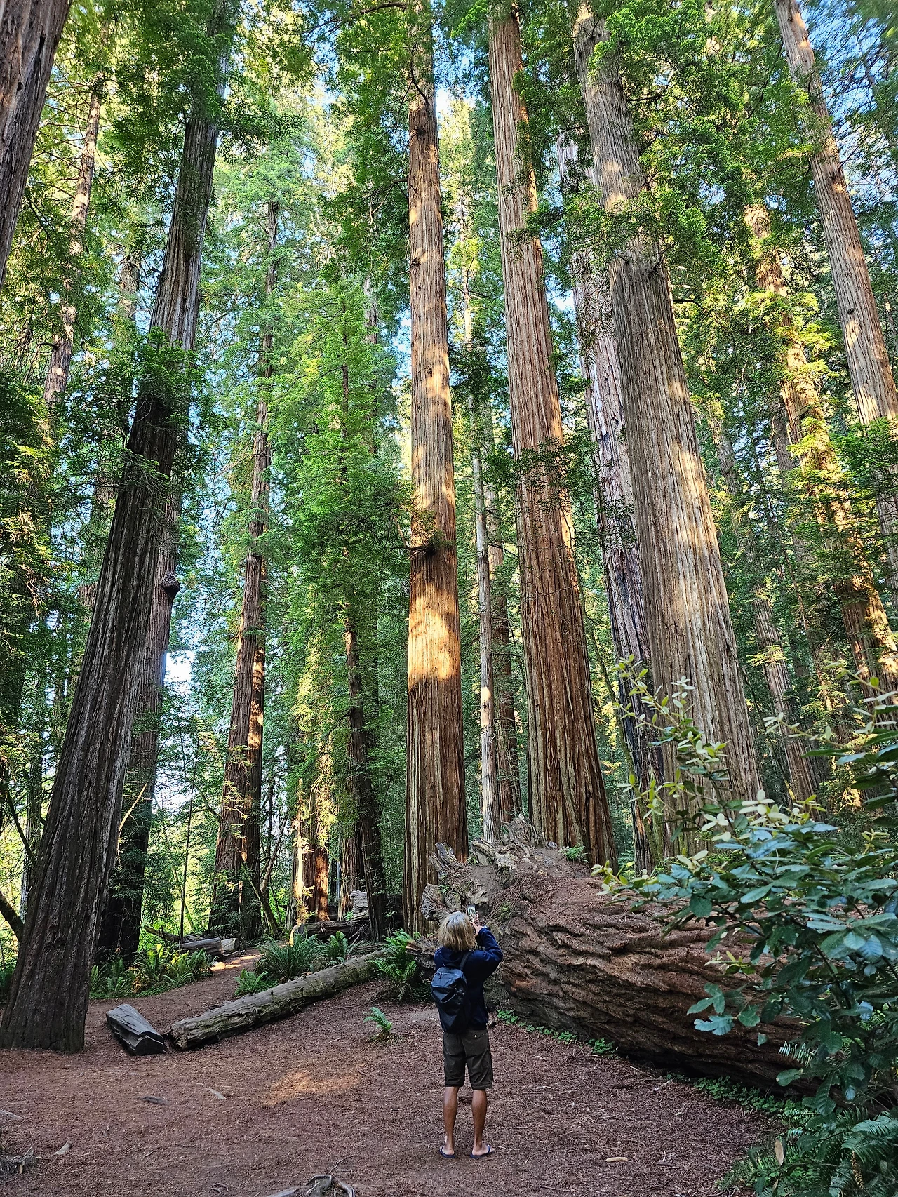 KakaoTalk_Photo_2023-06-11-23-24-21 014.jpeg