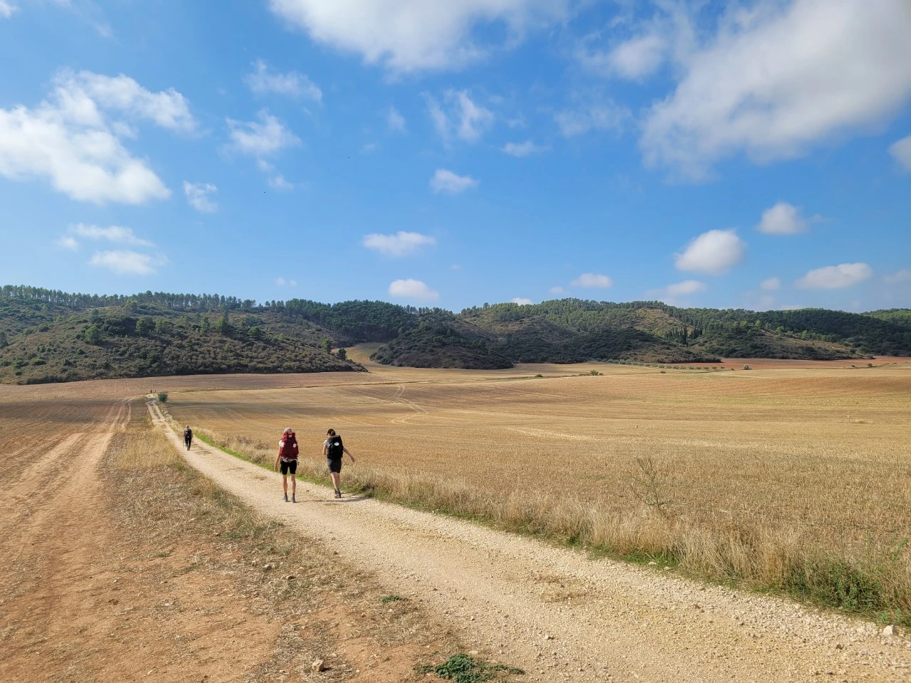 KakaoTalk_Photo_2021-09-14-04-35-48 011.jpeg