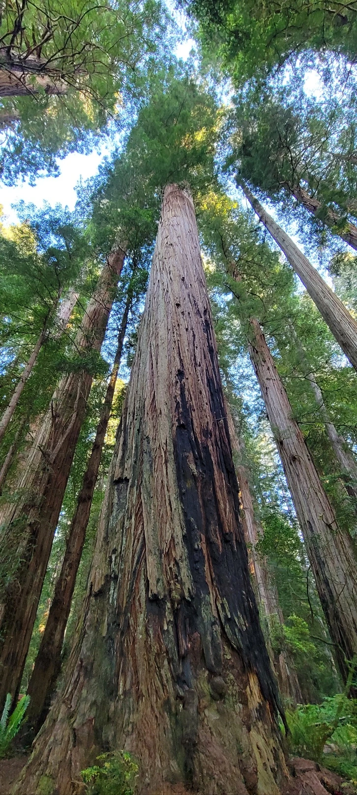 KakaoTalk_Photo_2023-06-11-22-46-49 012.jpeg