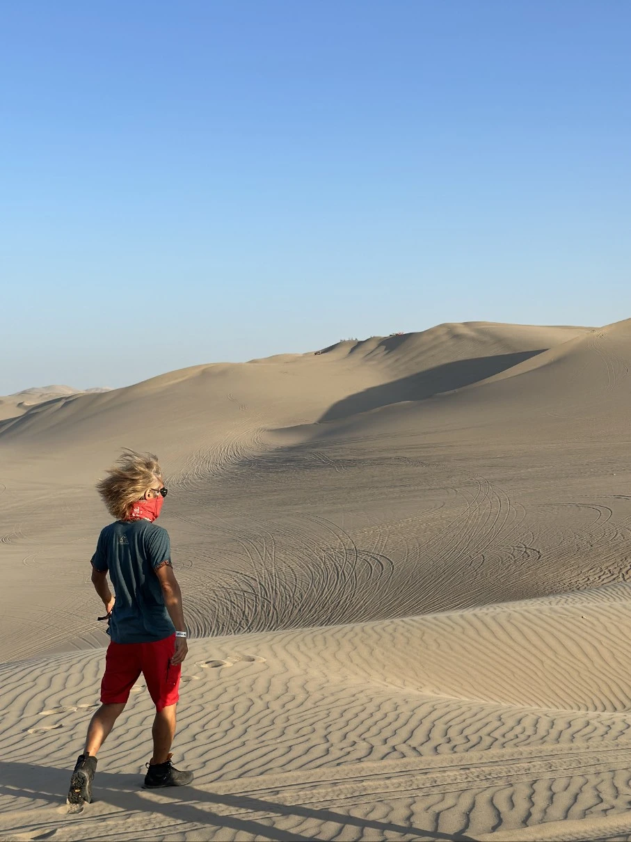 사막의 라이온.jpeg