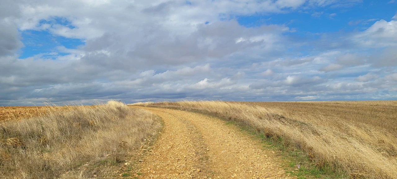 KakaoTalk_Photo_2021-09-24-20-41-20 001.jpeg