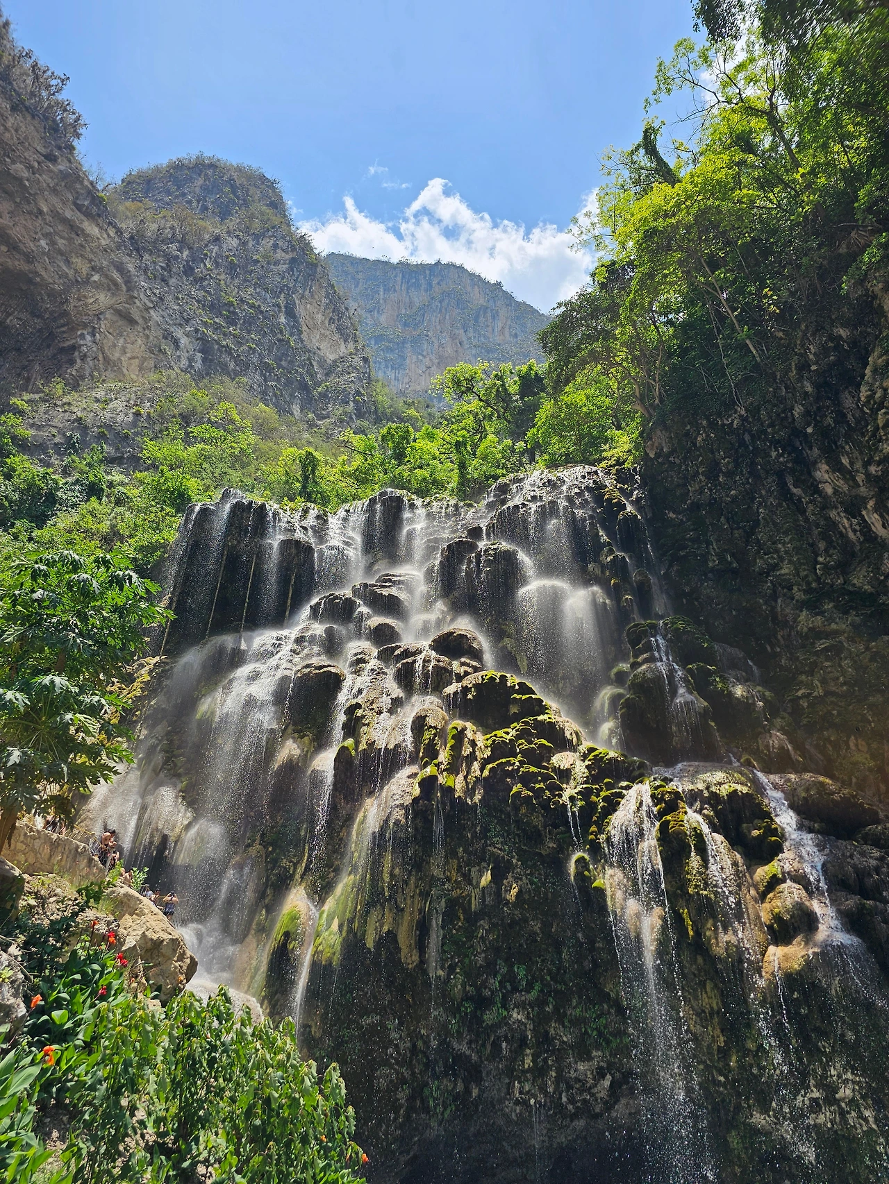 KakaoTalk_Photo_2023-06-01-00-37-43 007.jpeg