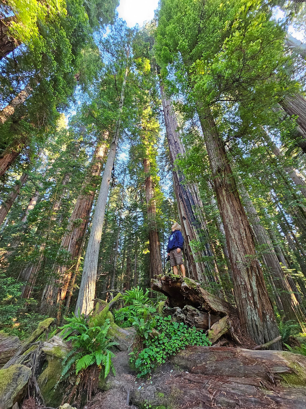 KakaoTalk_Photo_2023-06-11-23-23-00 009.jpeg