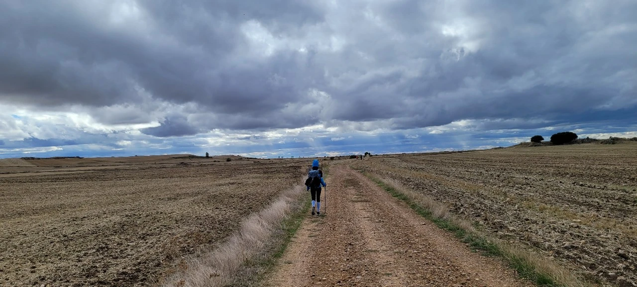 KakaoTalk_Photo_2021-09-21-07-26-19 003.jpeg