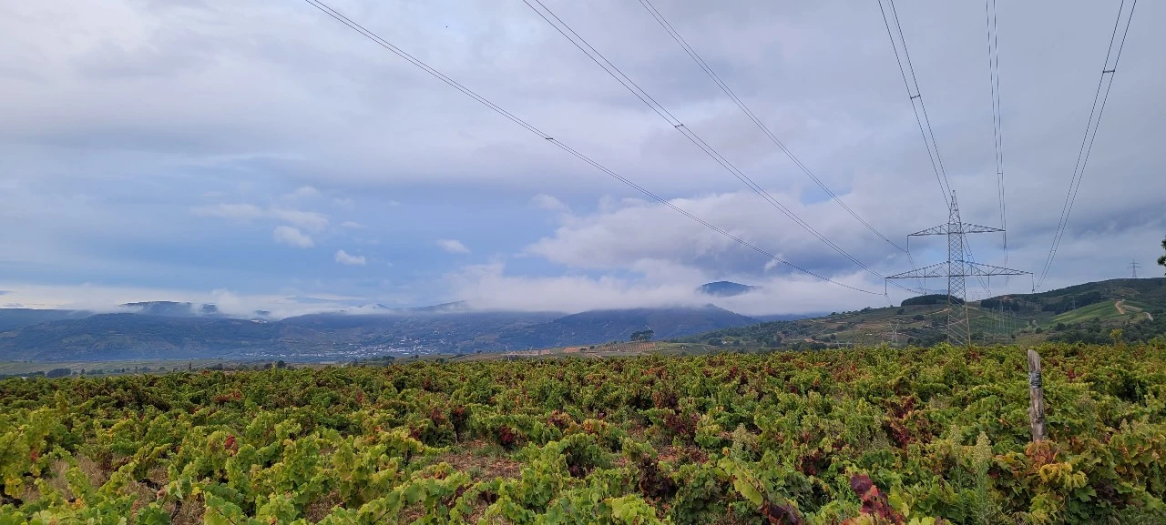 KakaoTalk_Photo_2021-10-02-18-26-00 007.jpeg