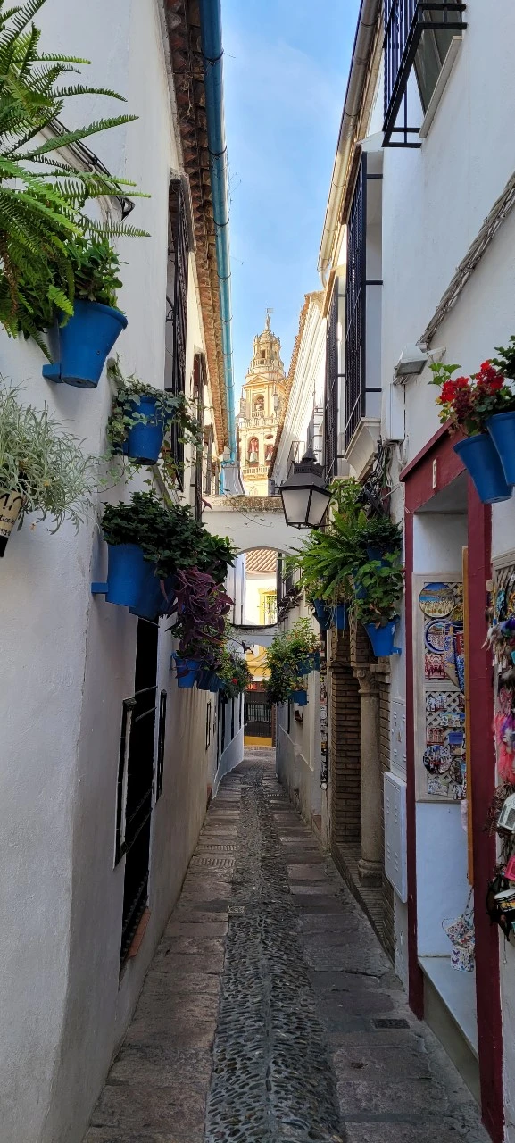 KakaoTalk_Photo_2021-10-25-18-01-59 007.jpeg