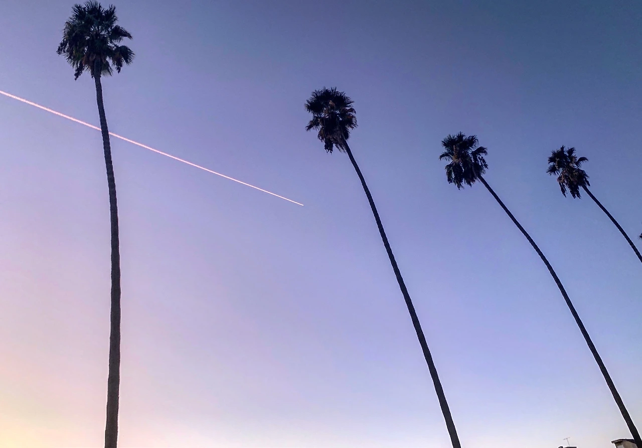 미국 로스앤젤레스.jpeg