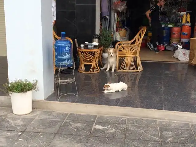 KakaoTalk_20180307_143510689.jpg?type=w773