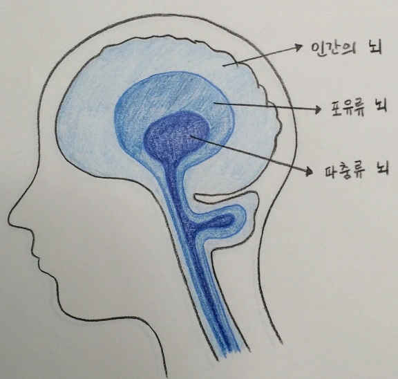 %EB%87%8C%EA%B5%AC%EC%A1%B0.jpg?type=w773