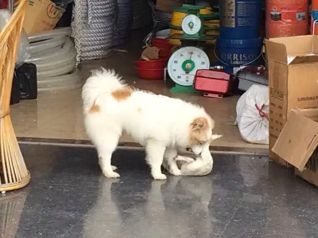 KakaoTalk_20180307_143503422.jpg?type=w773