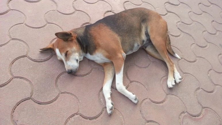 20170725_175335.jpeg?type=w773