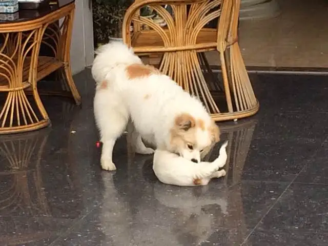 KakaoTalk_20180307_143457453.jpg?type=w773