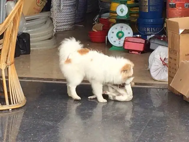 KakaoTalk_20180307_143502150.jpg?type=w773