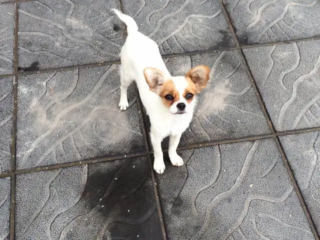 KakaoTalk_20180307_143456303.jpg?type=w773