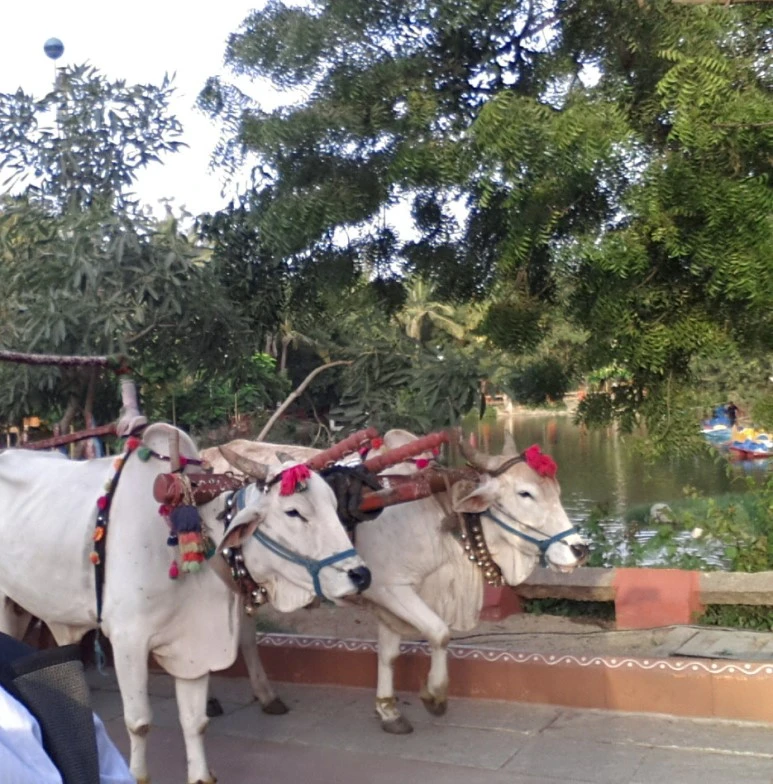 image_6722921651518090285134.jpg?type=w773