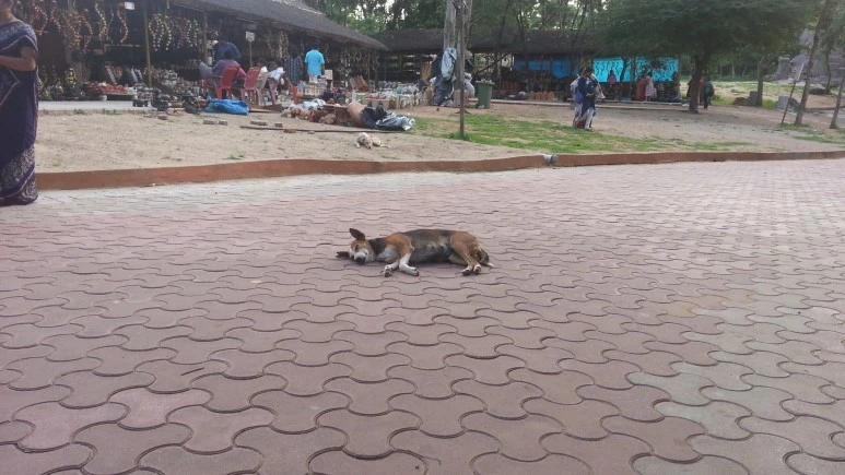 20170725_175308.jpeg?type=w773