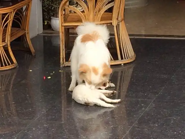 KakaoTalk_20180307_143458357.jpg?type=w773