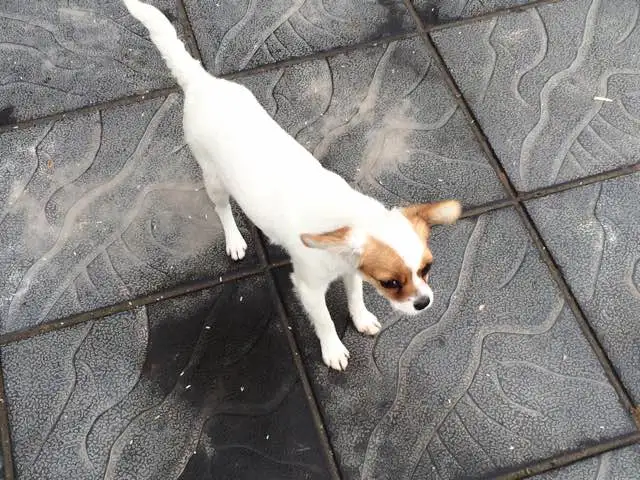 KakaoTalk_20180307_143454106.jpg?type=w773