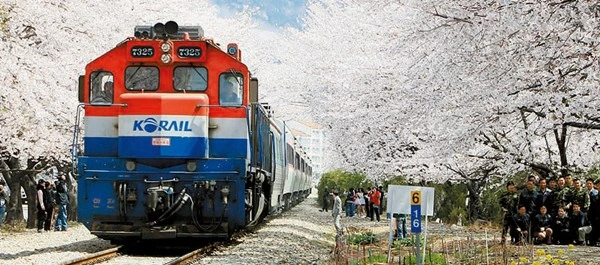 htm_201203293853l800l804.jpg?type=w773