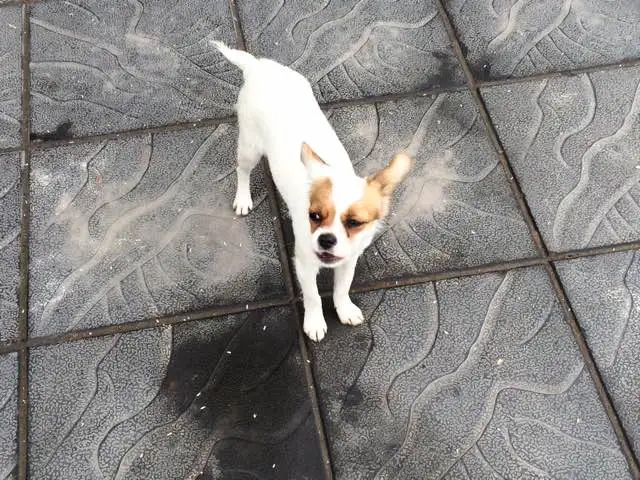 KakaoTalk_20180307_143455215.jpg?type=w773