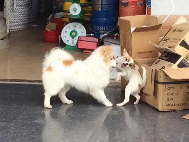 KakaoTalk_20180307_143500319.jpg?type=w773