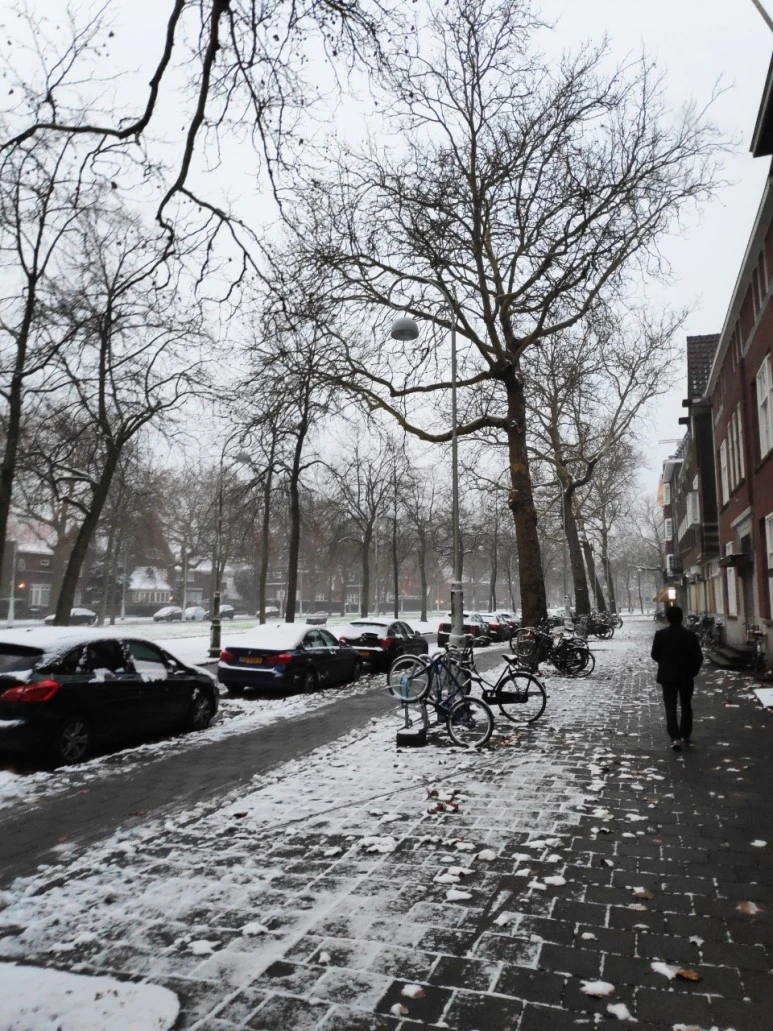 _c_307155_e_a86Ud018svc1q59bd97ugzs5_9qk9wg.jpg?type=w773