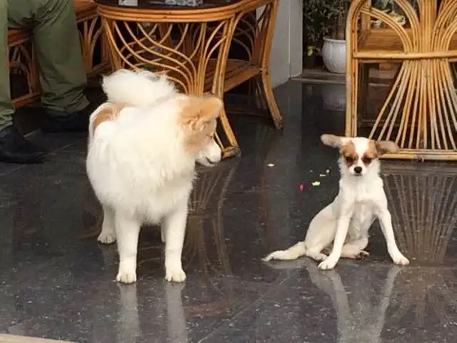 KakaoTalk_20180307_143459396.jpg?type=w773