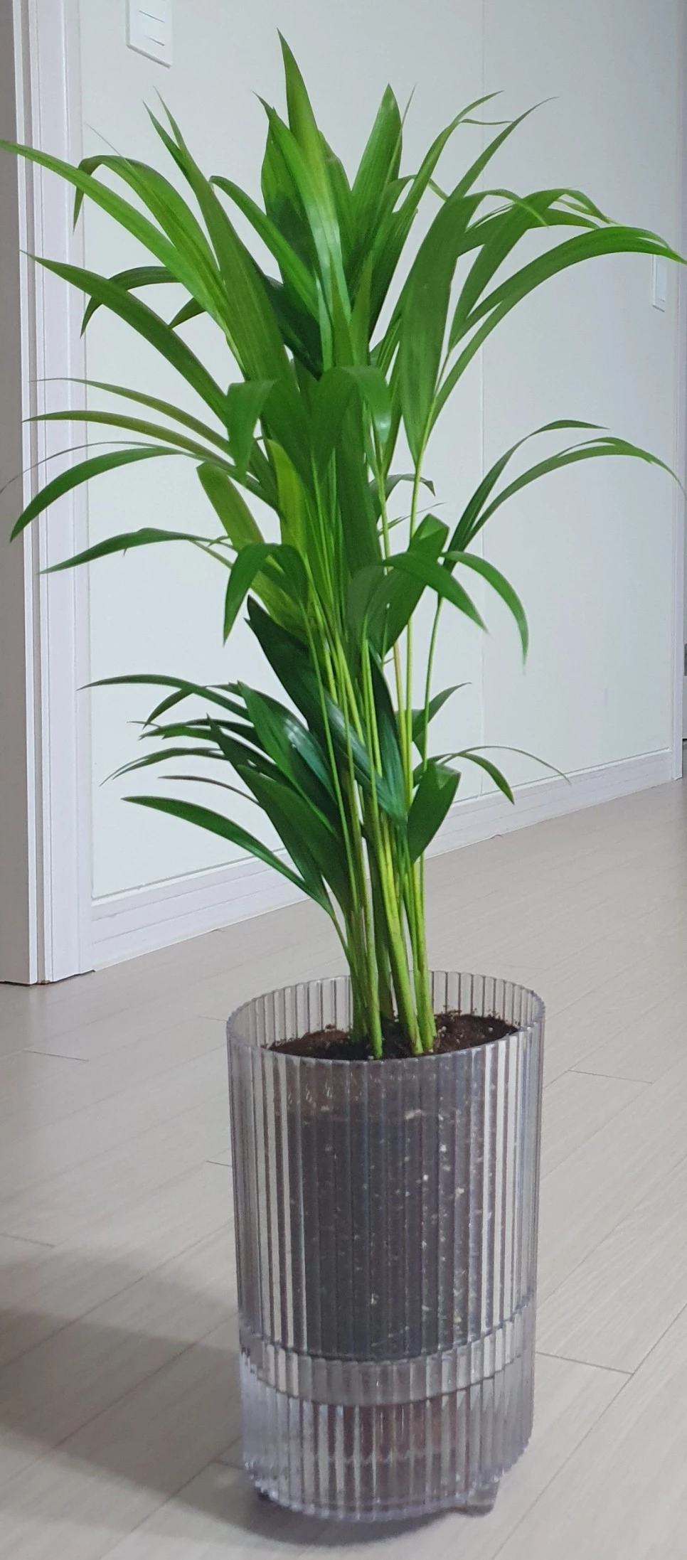 SE-ab0c601e-6461-4b48-824d-36a545c163e3.jpg?type=w966