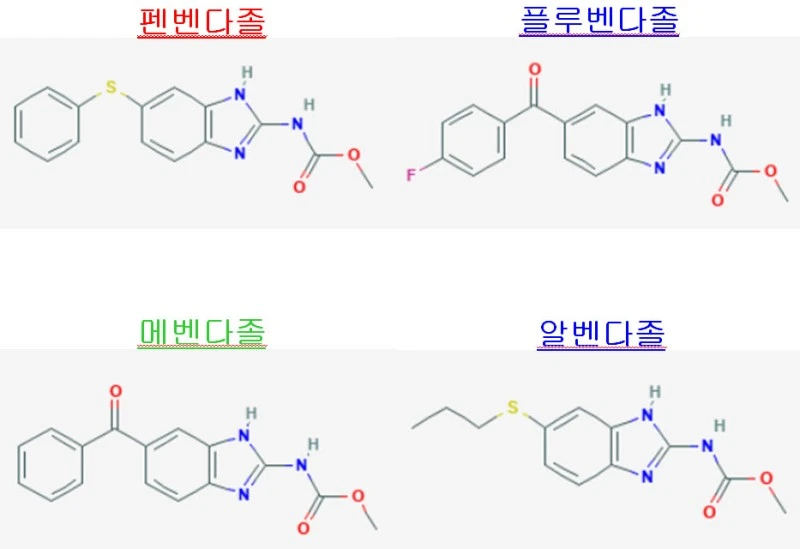%ED%8E%9C%EB%B2%A4%EB%8B%A4%EC%A1%B8%EA%B3%BC_%EC%84%B8%EC%B9%9C%EA%B5%AC_%EB%B6%84%EC%9E%90%EA%B5%AC%EC%A1%B0_%EB%B9%84%EA%B5%90.jpg?type=w1