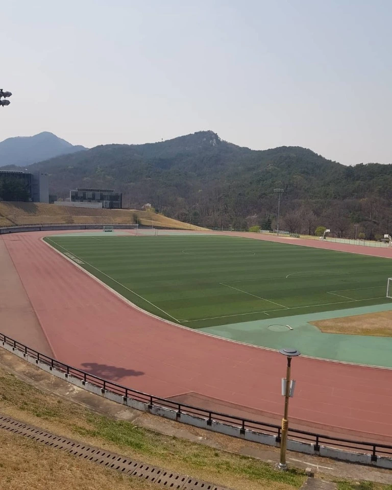 서울대 코로나19 2.jpeg