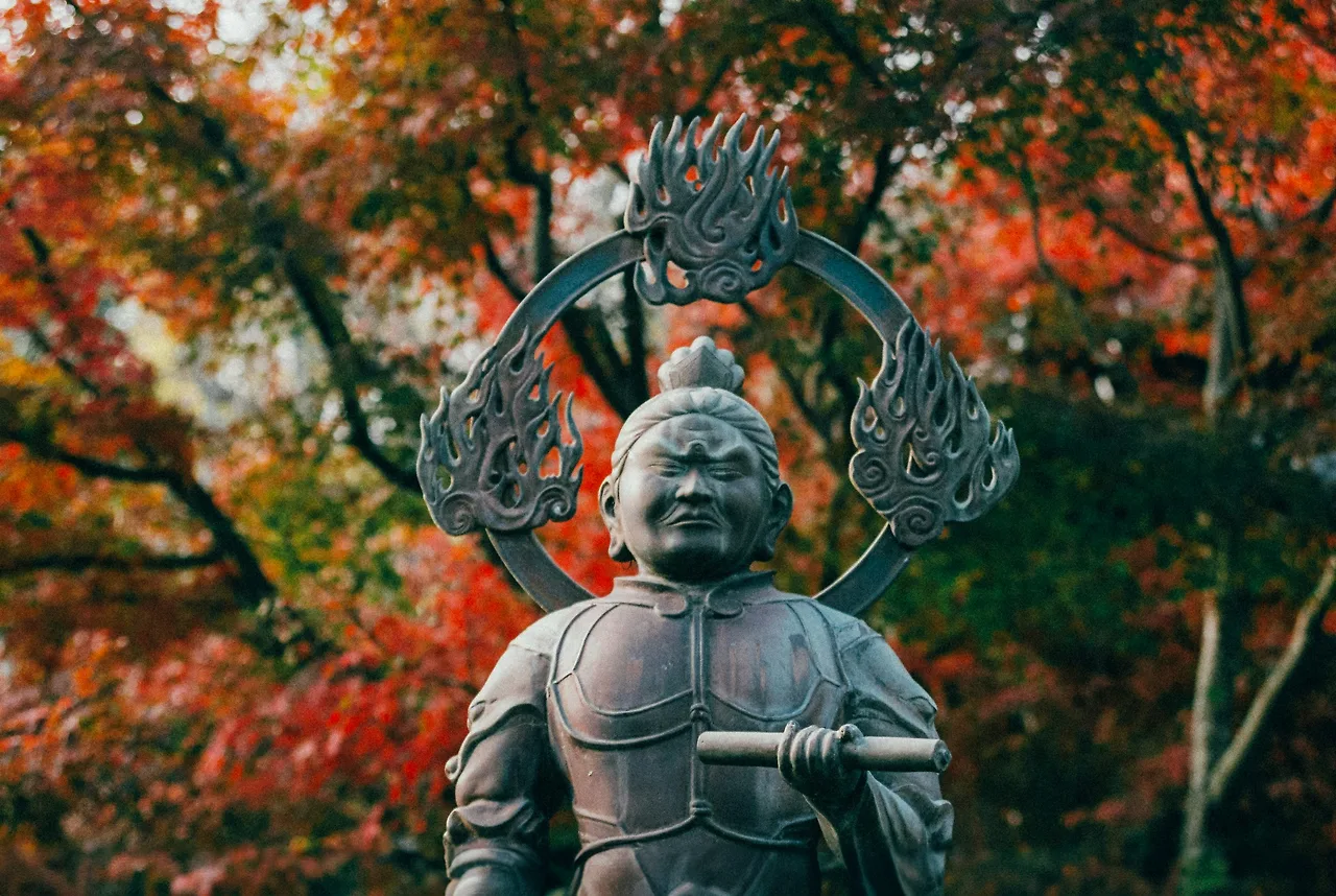 photo-1727333434715-7340bf6fbc39?fm=jpg&q=60&w=3000&ixlib=rb-4.1.0&ixid=M3wxMjA3fDB8MHxwaG90by1wYWdlfHx8fGVufDB8fHx8fA%3D%3D