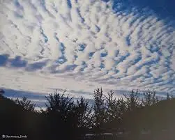 images?q=tbn:ANd9GcRiA7r6mPa7l7Xb3x781ytotuRXse4C9Ci7mA&s