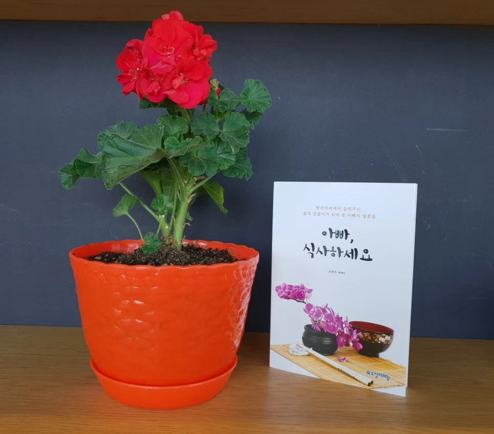 20180624_144943.jpg?type=w966