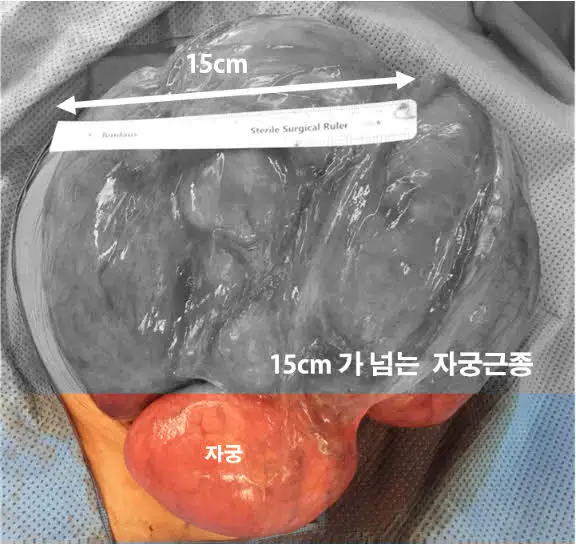 Ch03fig6.jpg?type=w773