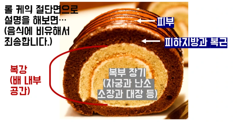 1546243061524.png?type=w773