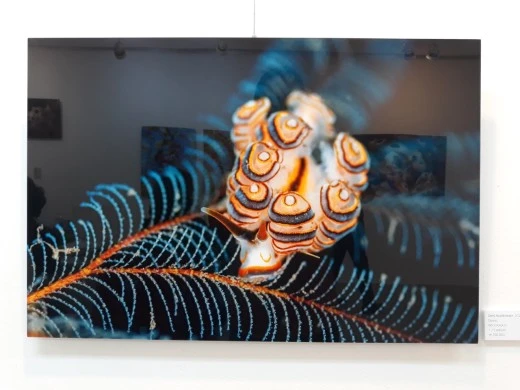 6_88aUd018svc1vq9cjwcrkwdp_e4yr2x.jpg?type=w520