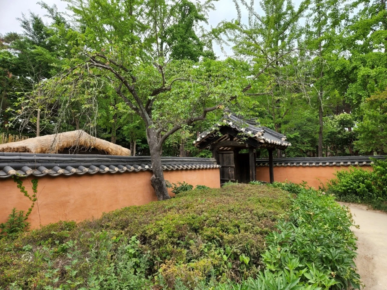 7_3dcUd018svce036b0dibpsy_e4yr2x.jpg?type=e1920_std