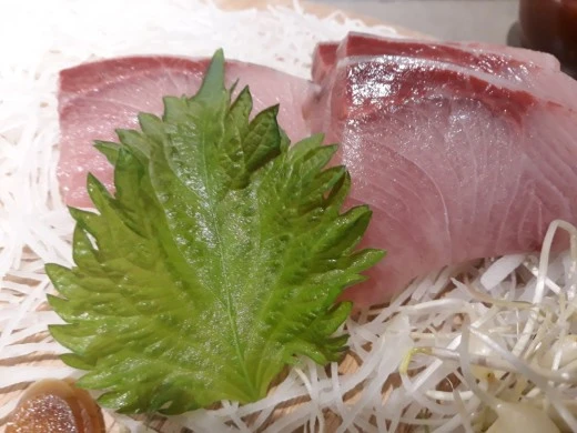 h_6hhUd018svc3ro23yveyqin_e4yr2x.jpg?type=w520